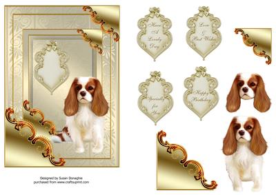 Cavalier King Charles Spaniel in Gilded Frame