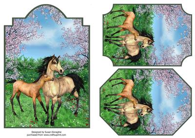 Mare & Foal in a Spring Meadow