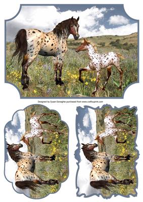 Apaloosa Horse & Foal Plaques