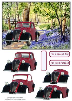 A Drive Through Bluebell Woods