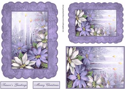 Lavender & Lace Poinsettias
