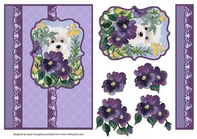 Westie Peek a Boo in the Pansies