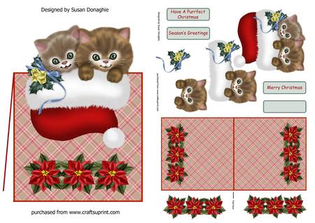 Christmas Kitties in a Santa Hat Over the Edge