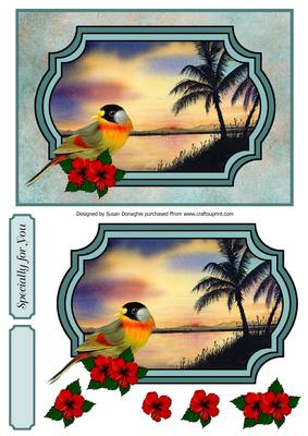 Wild Bird & Tropical Island Sunset