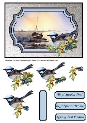 Wild Bird & Norfolk Broads Scene