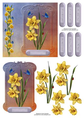 Daffodils & Butterflies 8x8 Card Front