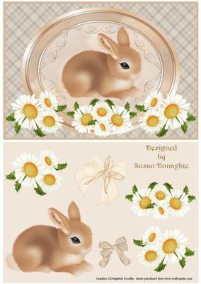 Baby Rabbit & Daisies