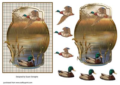 Mallards in the Marsh