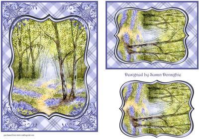 A Path Through Bluebell Woods