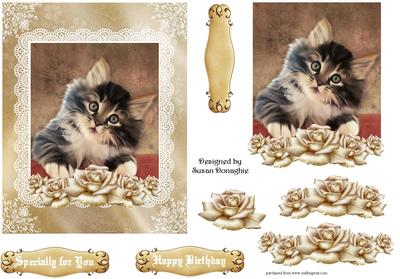 Kittens & Roses #2