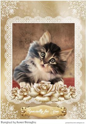 Kittens & Roses #2 A4 Card Front
