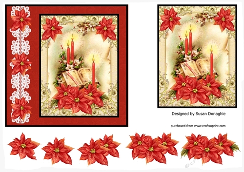 Christmas Bible & Poinsettias