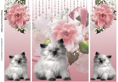 Kitten and Flowers Irresistible Me