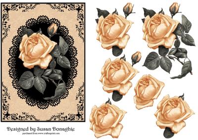 Peach Rose and Black Lace