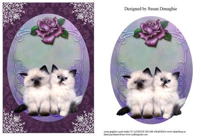Kittens and Roses Sugar and Spice