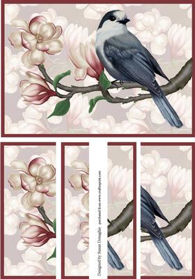 Blue Jay with Magnolias
