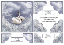 Mystical Winter Swan Lake by Moonlight