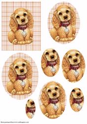 Spaniel Puppy