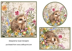 Cute Hedgehg