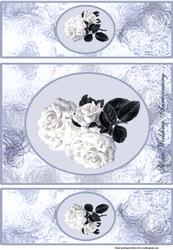 Silver Wedding Anniversary
