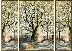 Winter Walk