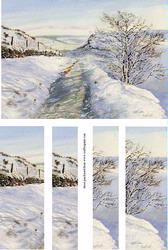 Winter in the Dales