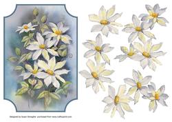 Floral Watercolour