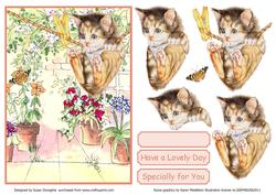I Want That Butterfly!