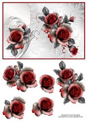 Scarlet Roses