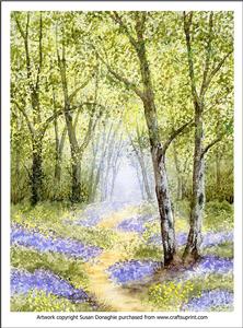 A Walk in Bluebell Woods