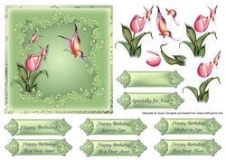 Springtime & Butterflies