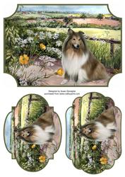 Rough Collie Plaques