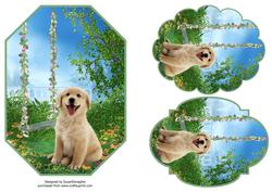 Golden Retriever Puppy by the Garden Swing