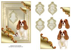 Cavalier King Charles Spaniel in Gilded Frame