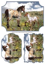 Apaloosa Horse & Foal Plaques