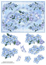 Periwinkles & Butterflies