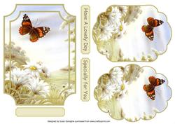 Red Admiral & Daisies Plaques