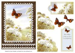 Red Admiral & Daisies Corner Pocket Card