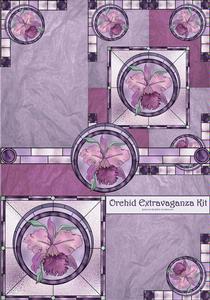 Orchid Extravaganza Kit