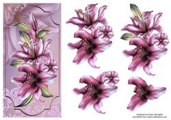 Lilies in the Pink Dl Card Front