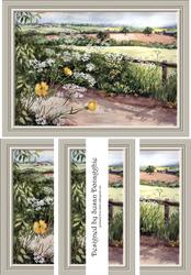 Country Hedgerow