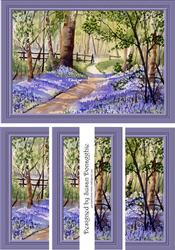 Bluebell Woods