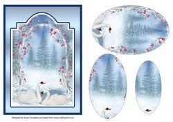Winter Swans