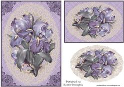 Vintage Iris