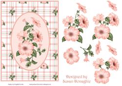 Coral Pink Petunias