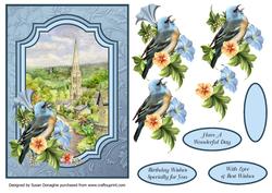 Wild Bird & Village Church