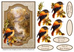 Wild Bird & Waterfall Scene