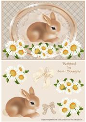 Baby Rabbit & Daisies