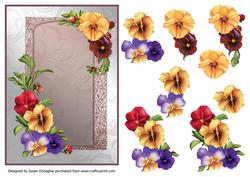 Pansy Posies