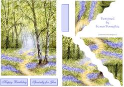 A Path Through Bluebell Woods